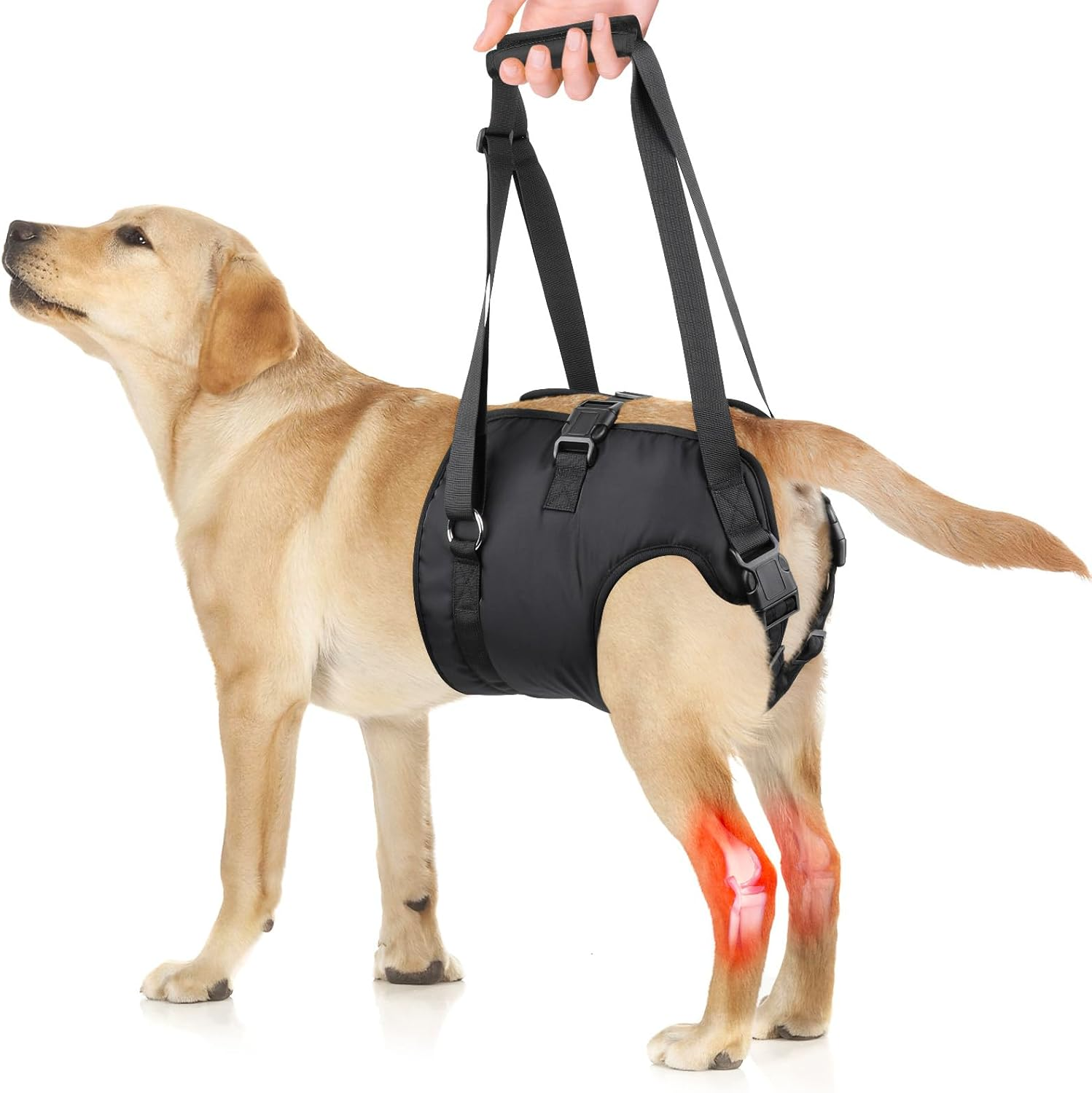 Dog Lift Harness - Adjustable Sling for Medium & Large Dogs’ Hind Legs, Senior Dogs with Arthritis, Joint Injuries - Support Harness with Handle for Walking, Stairs, & Recovery - Medium