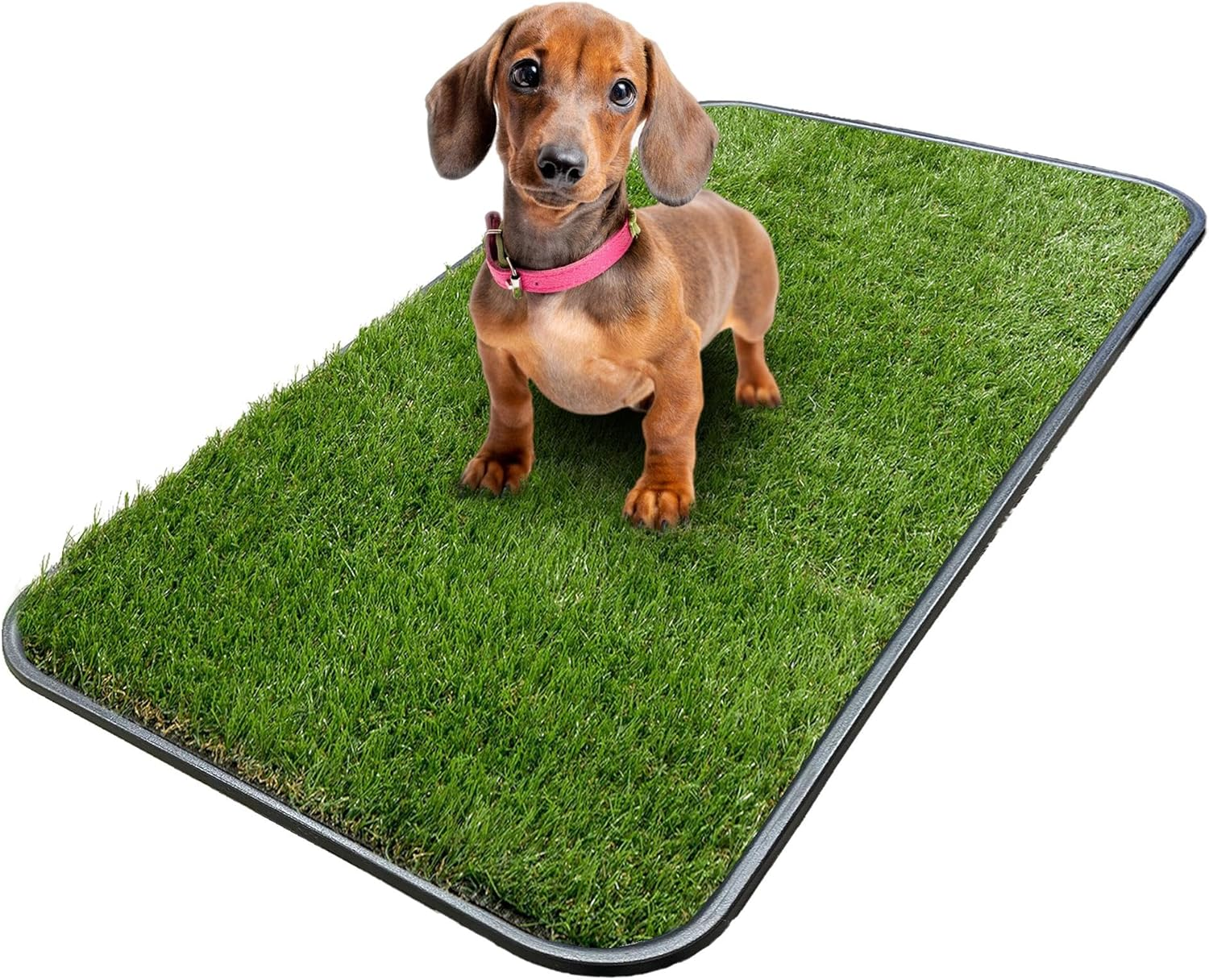 Pasto Artificial con Bandeja para Entrenamiento de Perros Pequenos