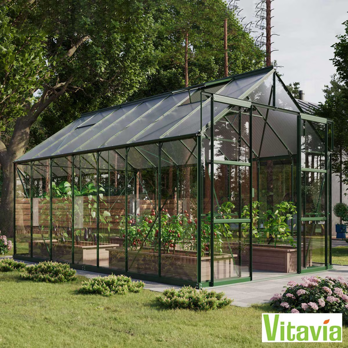 Vitavia Arizona 11500 8Ft 5