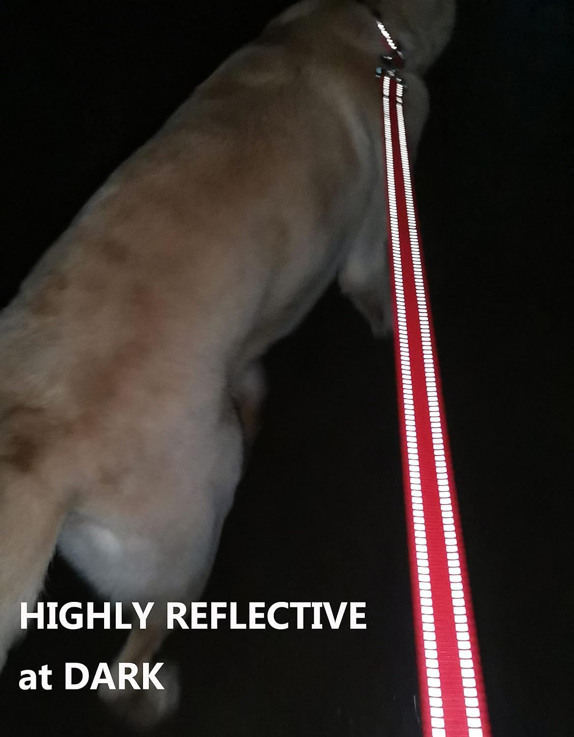 OEFEO Reflective Dog Leash for Large&Medium and Small Dogs, Strong and Durabl... - Picture 8 of 15