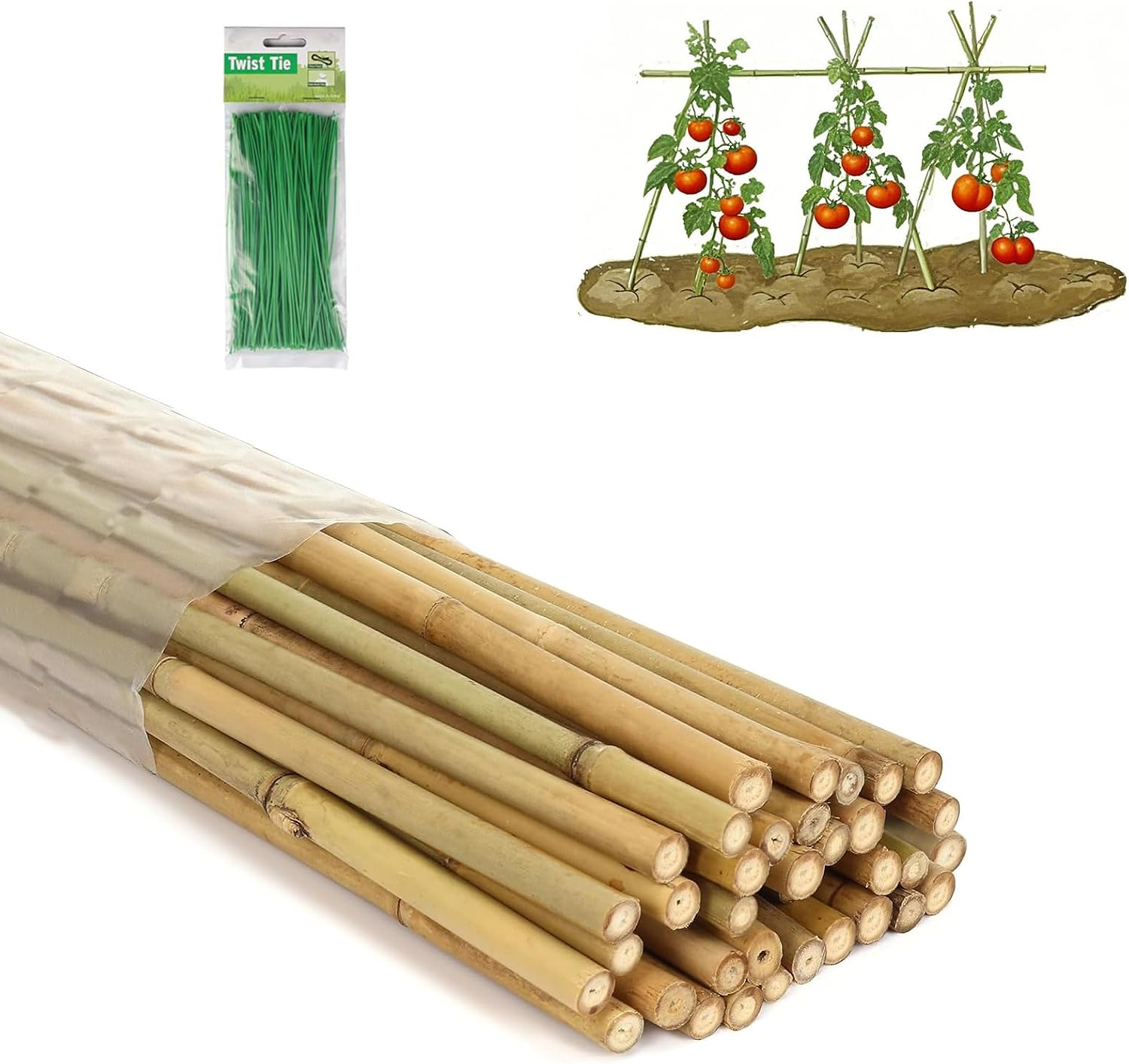4 Ft Bamboo Stakes with 100 Twist Ties Natural Bamboo Garden Stakes for Tomatoes Cucumber Grapes Pole Beans Trees Potted Dahlia Flowers and Climbing Plants - Pack of 25