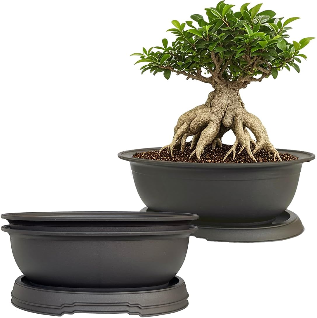 3 Pack Oval Bonsai Training Pot with Drainage Tray, Matte Finish Succulent Growing Pot for Home Garden Plant Outdoor Indoor Container (7.2