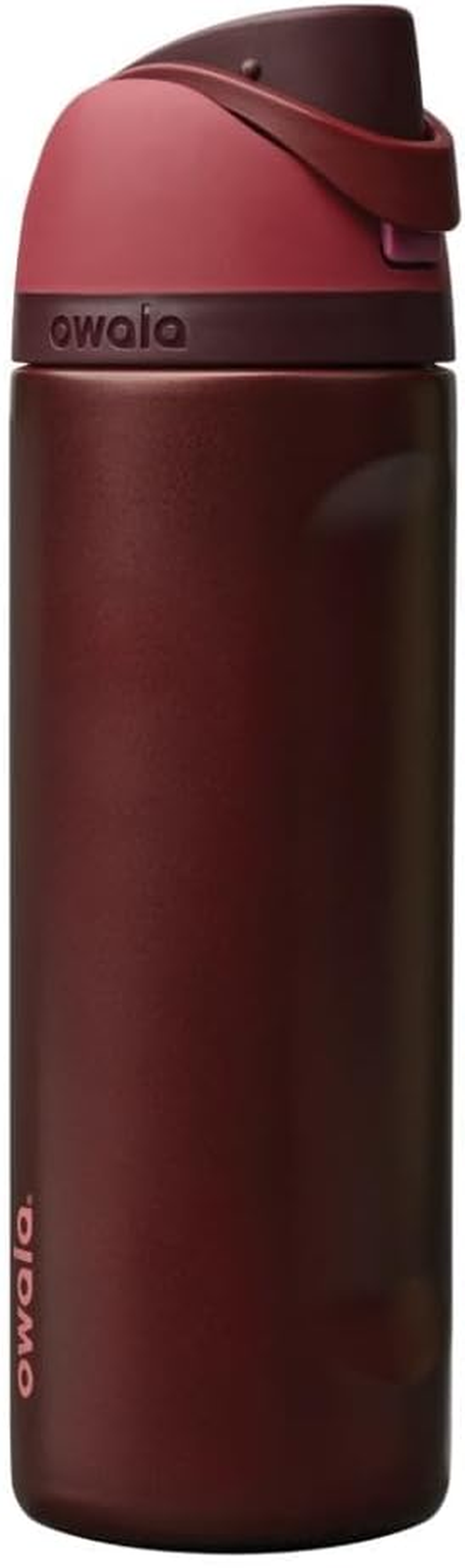 Freesip Insulated Stainless Steel Water Bottle with Straw, Bpa-Free Sports Water Bottle, Great for Travel, 24 Oz, Black Cherry