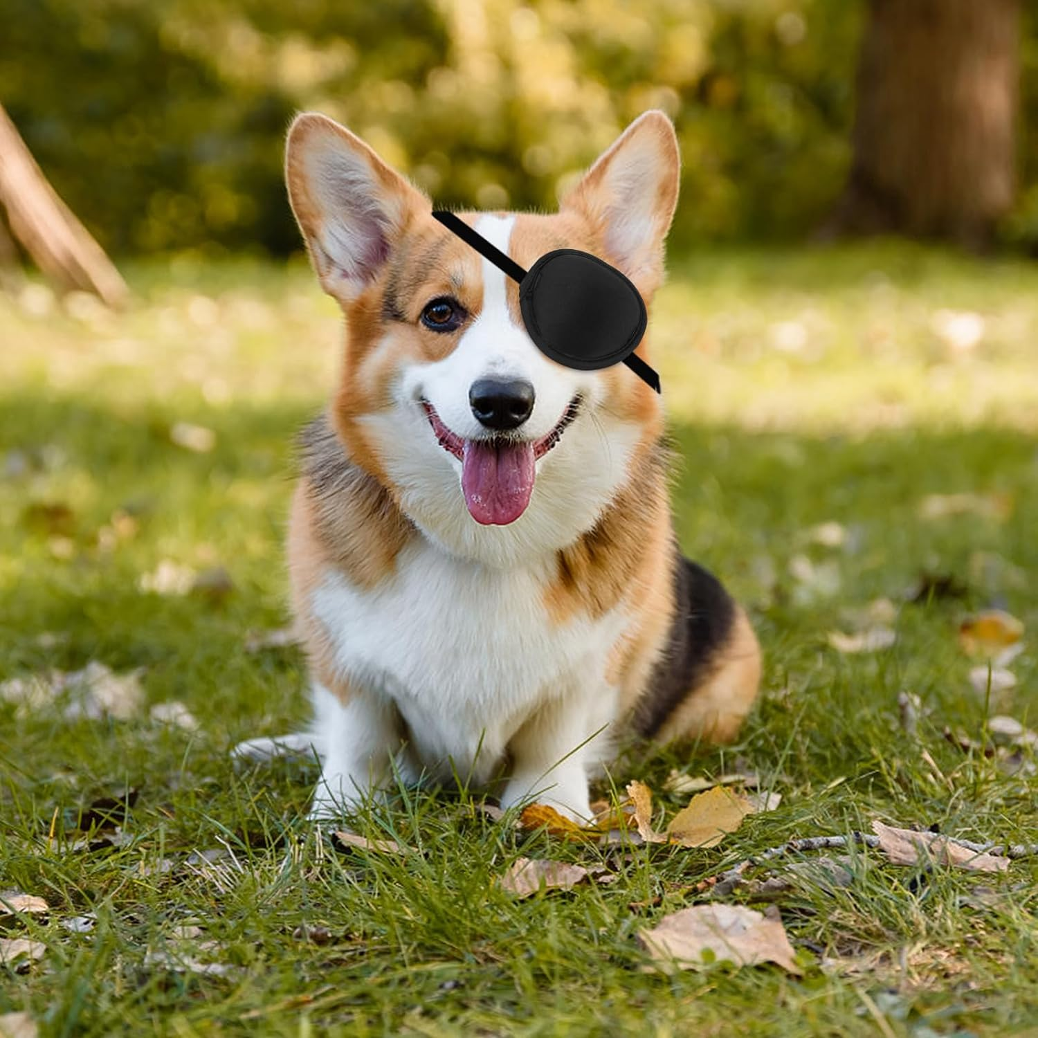 YeeBeny Dog Eye Patch, Eye Patch for Dogs Eye Injuries After Surgery Wounds, ... - Picture 8 of 13