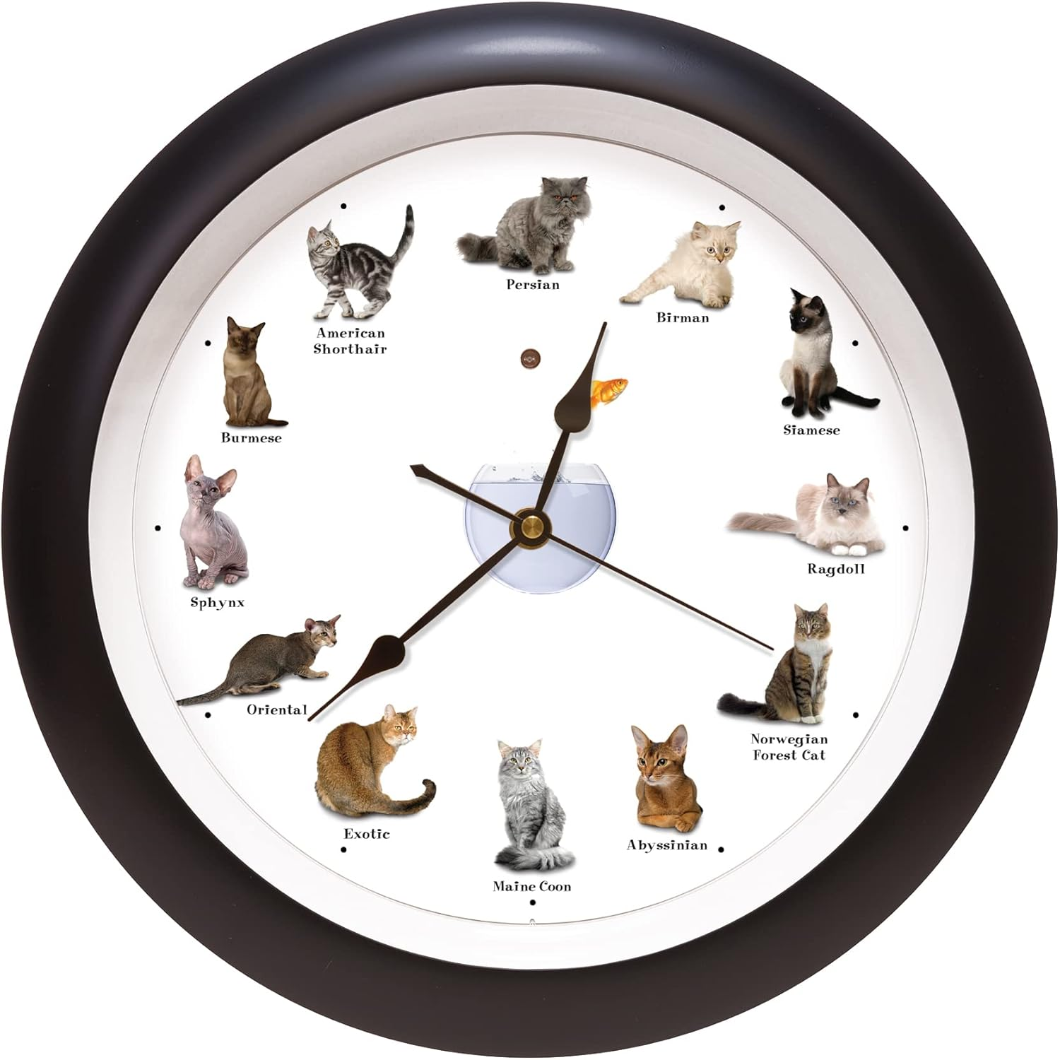 Meowing Cat Sounds Wall Clock 13 Black 12 Popular Breeds