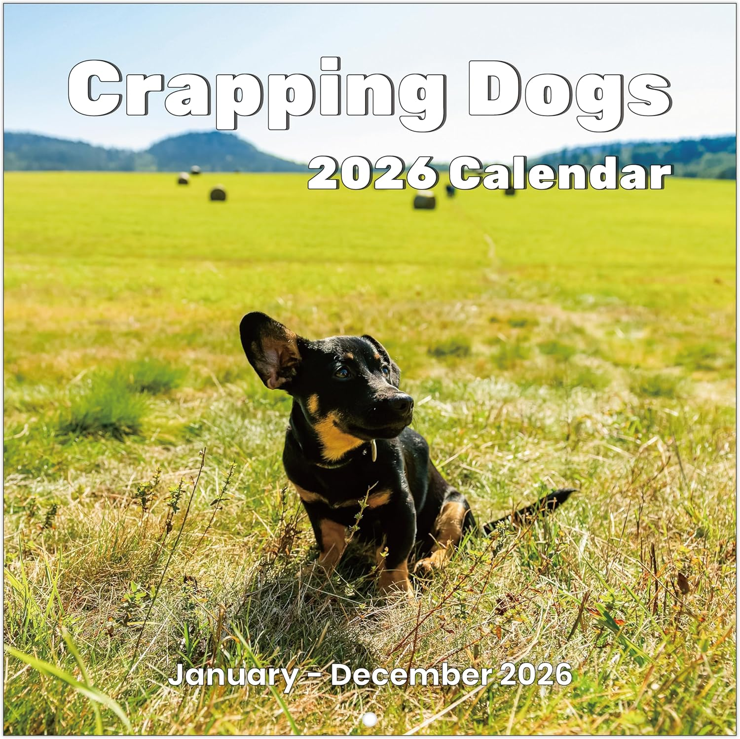 2026 Calendar, 2026 Wall Calendar, Fun Dogs Calendar 2026 from Jan. 2026 - Dec. 2026, 12