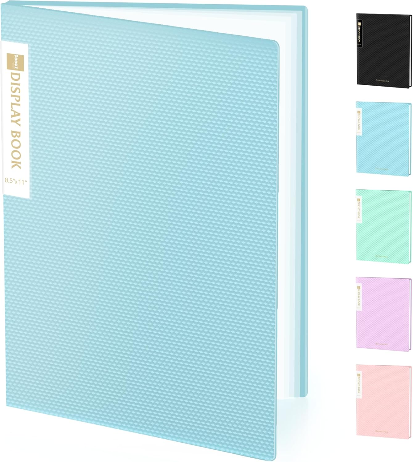 Binder with Plastic Sleeves 30-Pocket, Displays 60 Pages, 8.5X11 Presentation Folders with Clear Sheet Protectors, Art Portfolio Binder for Certificate & Office Project, Document Organizer