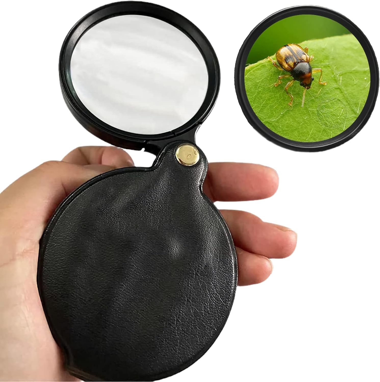 10X Pocket Magnifying Glass, Hand Folding with Leather Case, 1 Piece for Reading