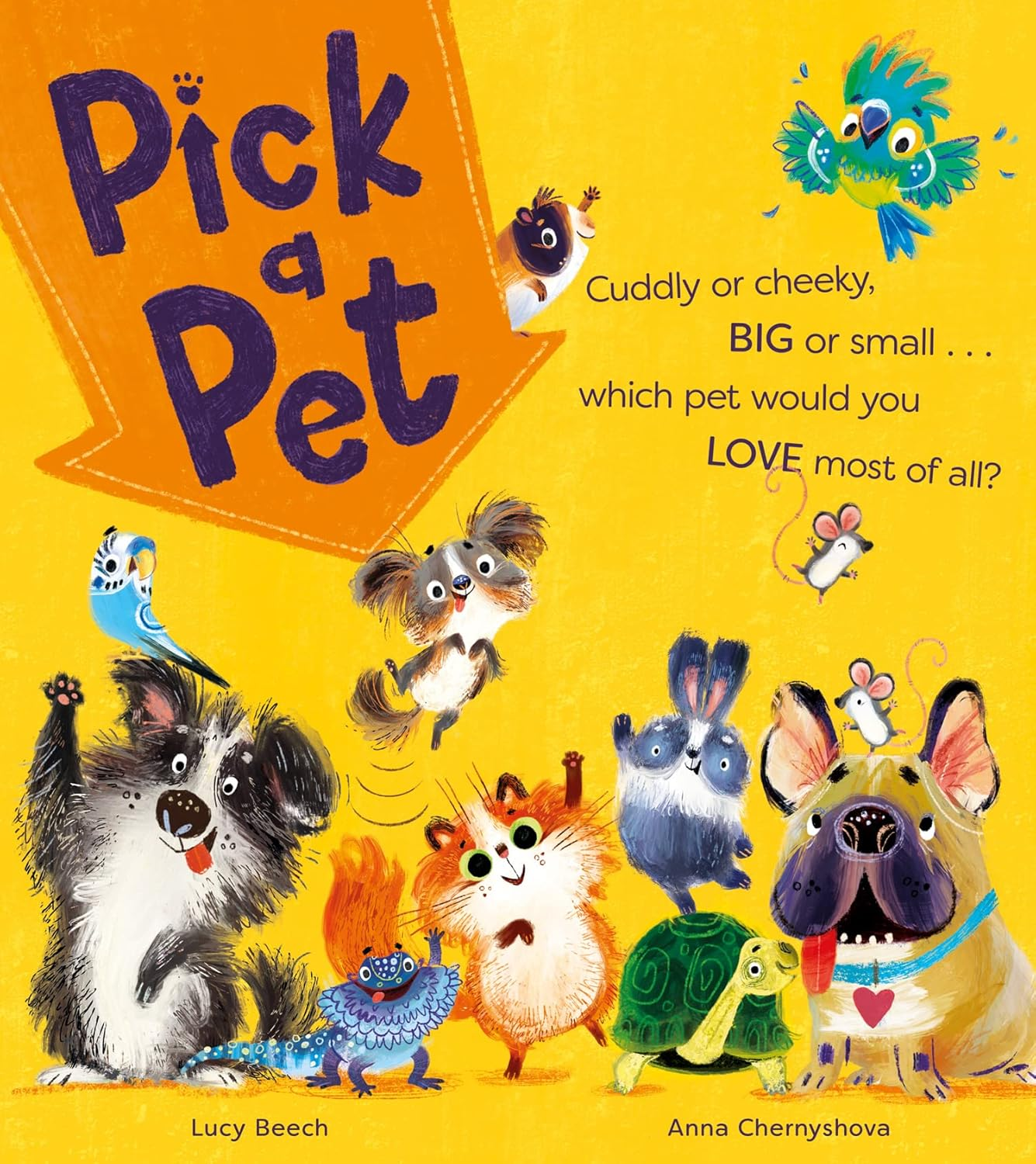 Pick a Pet: a New Illustrated Children’S Picture Book Giving YOU the Power to Choose Your Favourite Pet