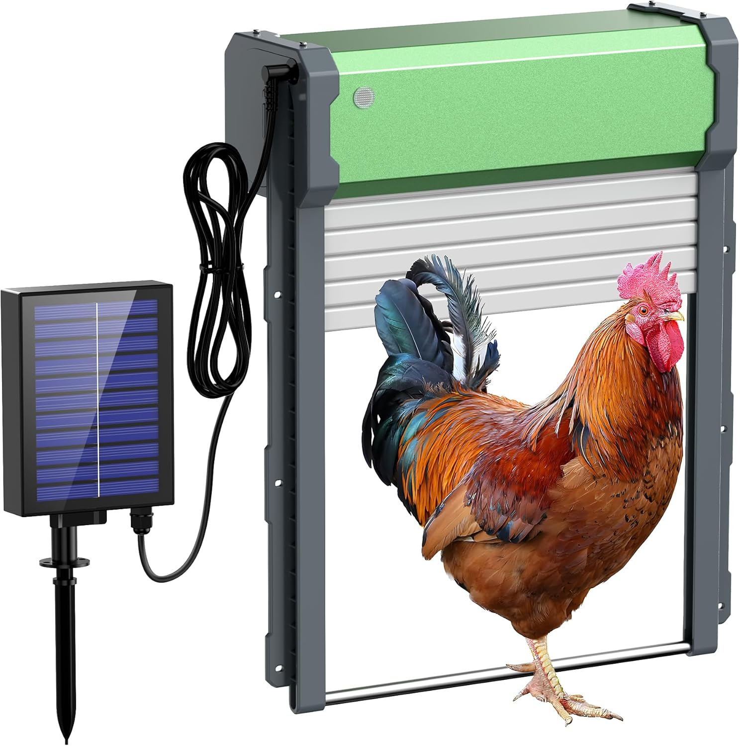 Automatic Chicken Coop Door Solar: Automatic Chicken Door - Solar Powered Chicken Coop Door with Timer & Light Sensor - Aluminum Alloy Chicken Door - IP65 Weather Proof - Remote Control- 4 Modes