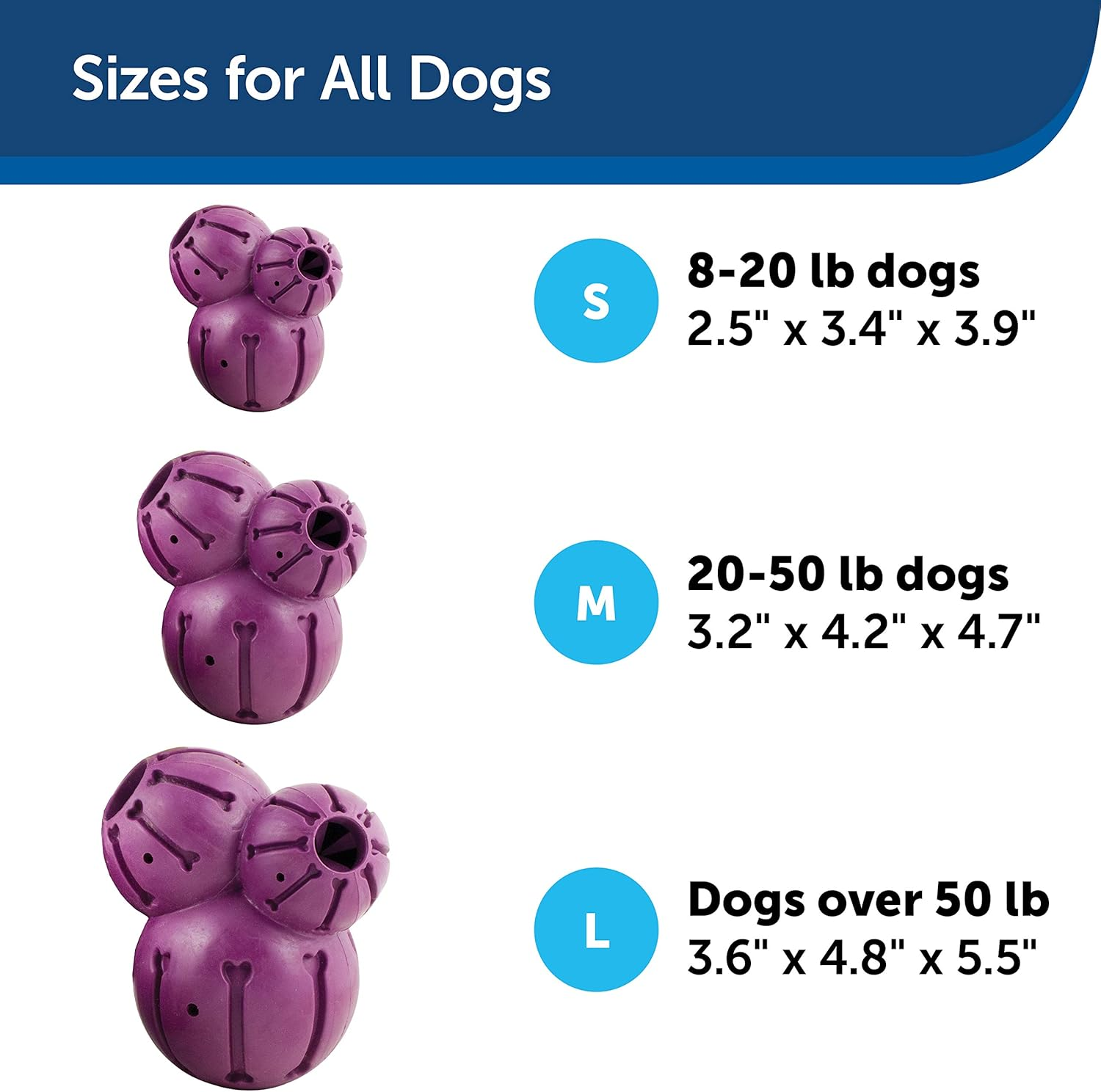 PetSafe Busy Buddy Barnacle - Dog Chew Toy - Treat Dispensing Dog Toys - Picture 7 of 14