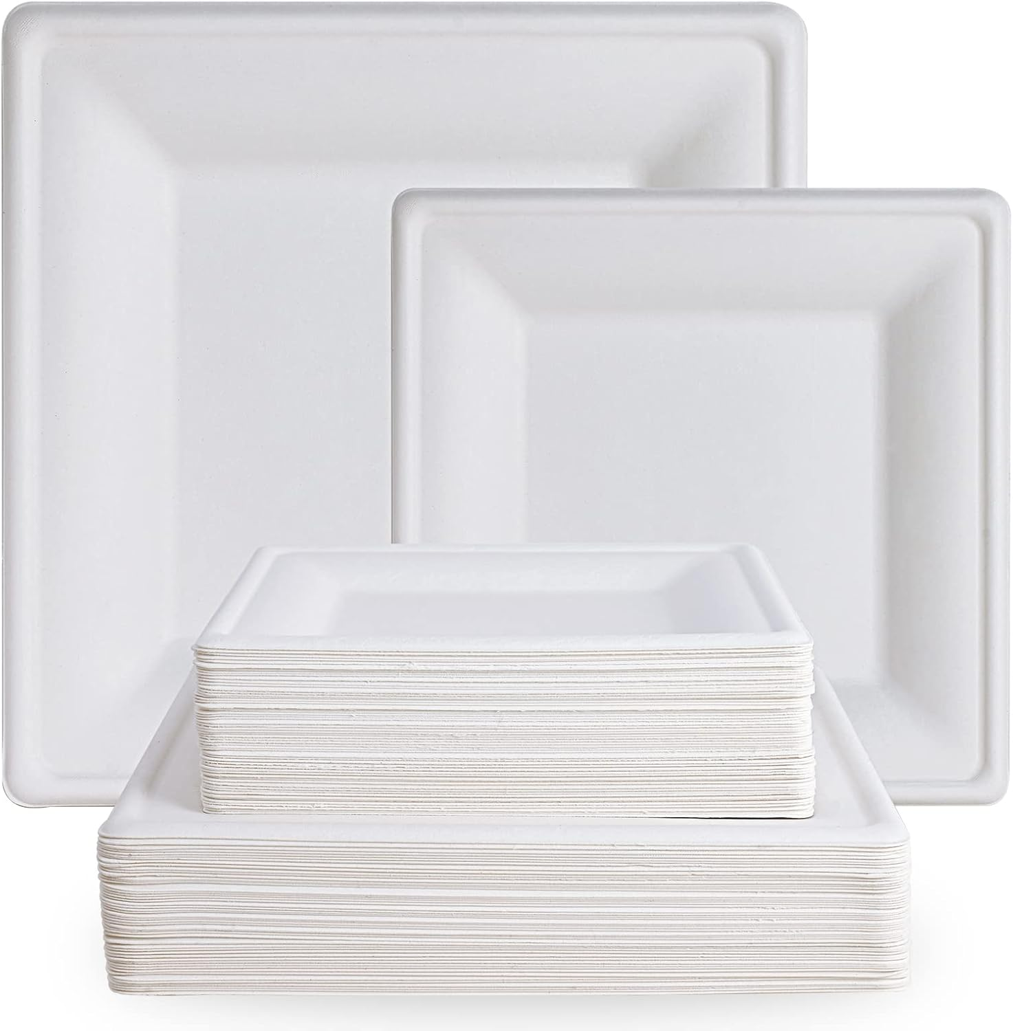 120 Pack Compostable Paper Plates 10 Inch and 8 Inch Heavy Duty Disposable 