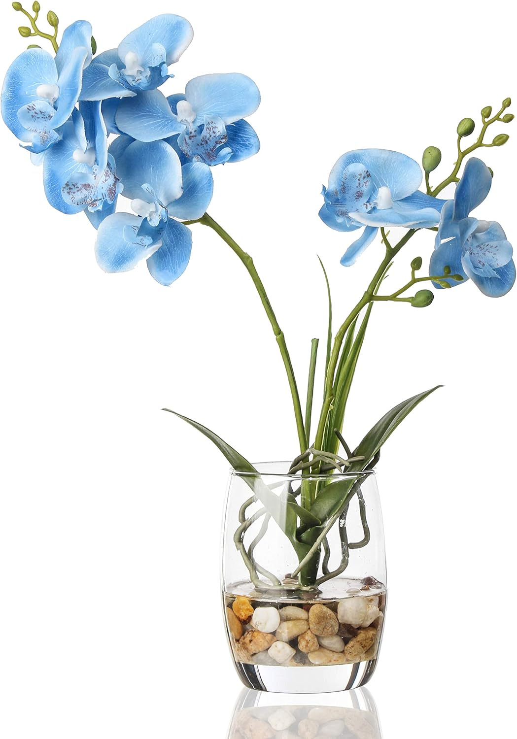 Artificial Blue Orchid in Glass Vase, Realistic Phalaenopsis Arrangement with Potting for Home Office Table Decor, 14.5 Inch Flower Centerpiece