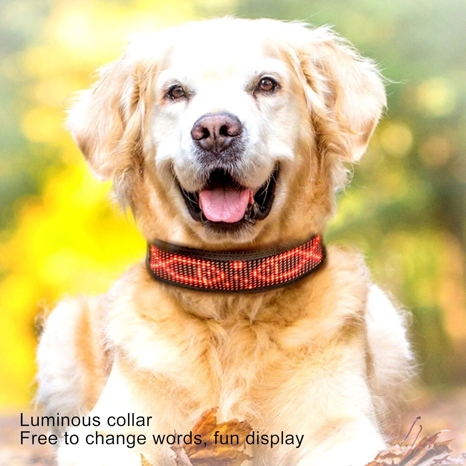 Programmable LED Collar with Connection, Rechargeable, Stylish Design, High V... - Picture 4 of 13