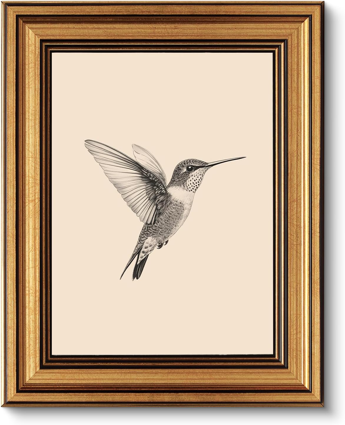 Vintage Gold Framed Wall Art for Living Room, Birds Canvas Prints Home Decor, Sketch Painting Picture, Bedroom Wall Decor Gifts for Friends or Family -【Hummingbird】-(10L x 8W)