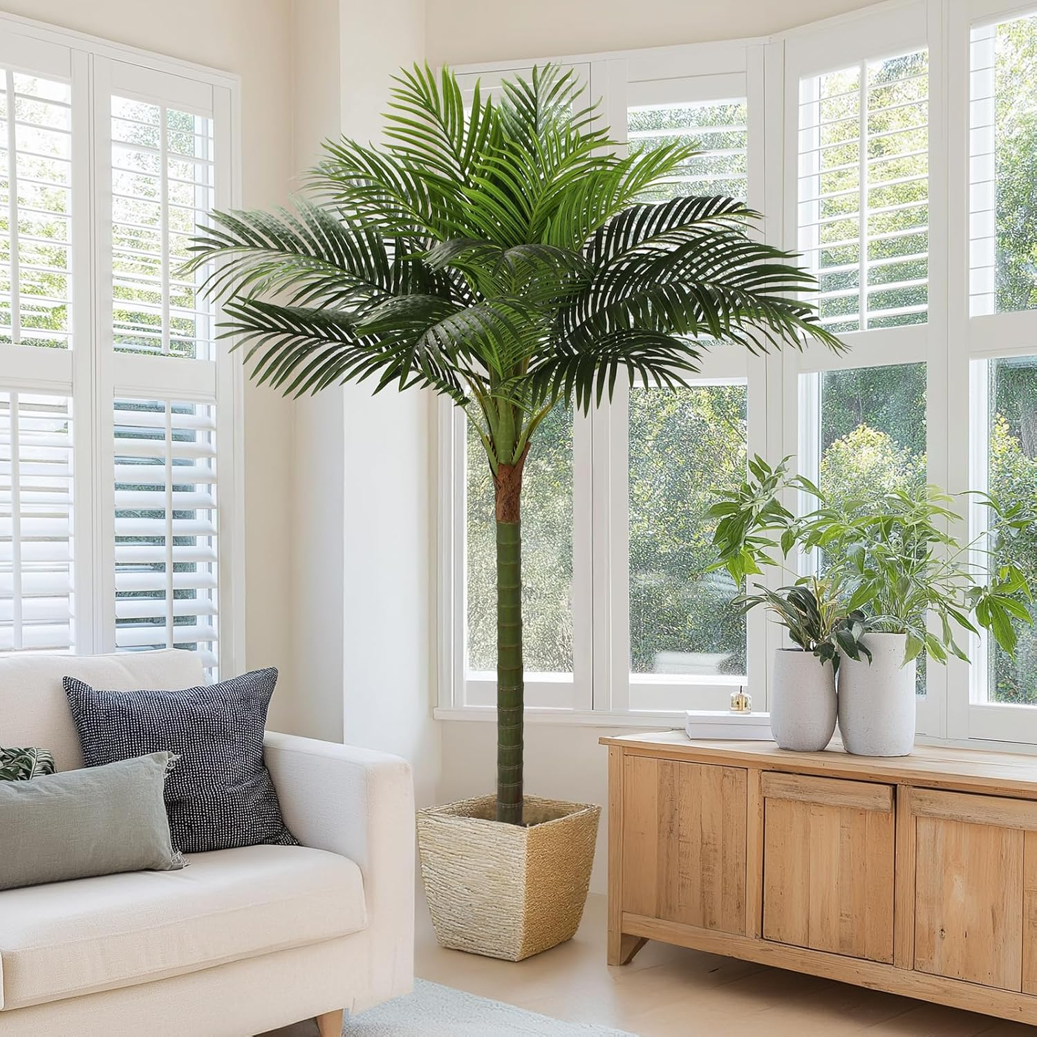 chrie philodendron Philodendron Hederaceum 'Rio' – The Groovy Plants Ranch LLC main image 0