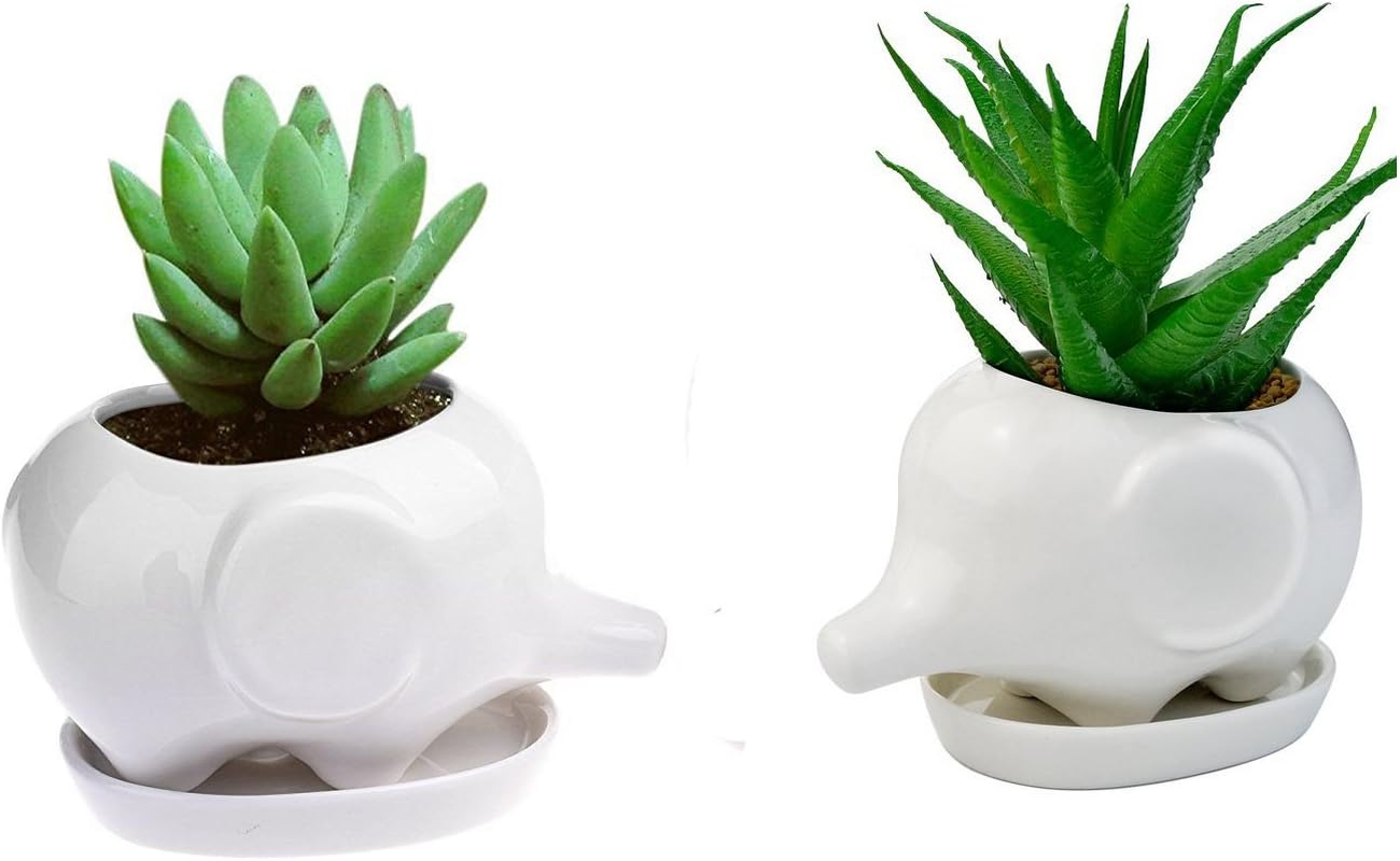 Wish you have a nice day Set of 2 Modern Skull White Ceramic Succulent Plante... - Picture 9 of 14