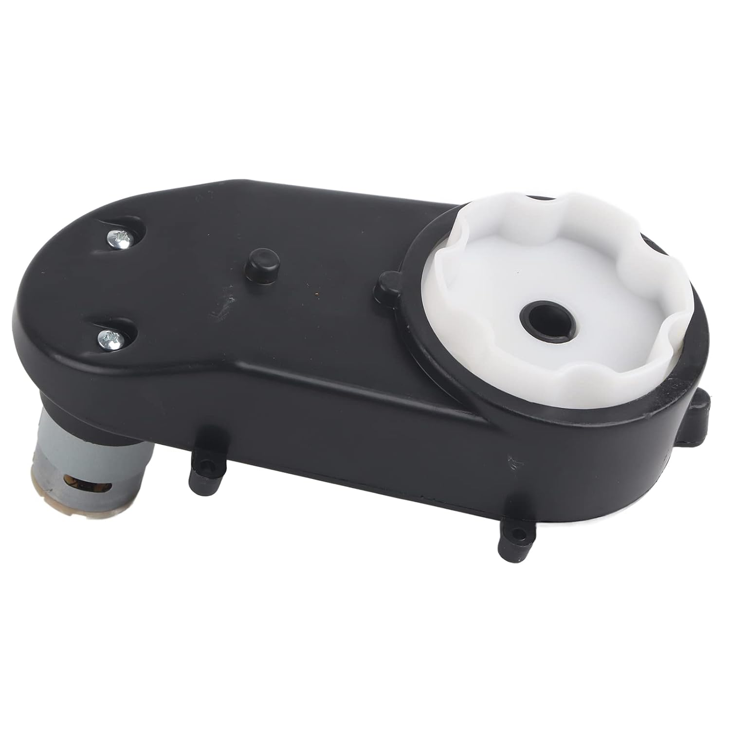 RS390 Electric Motor