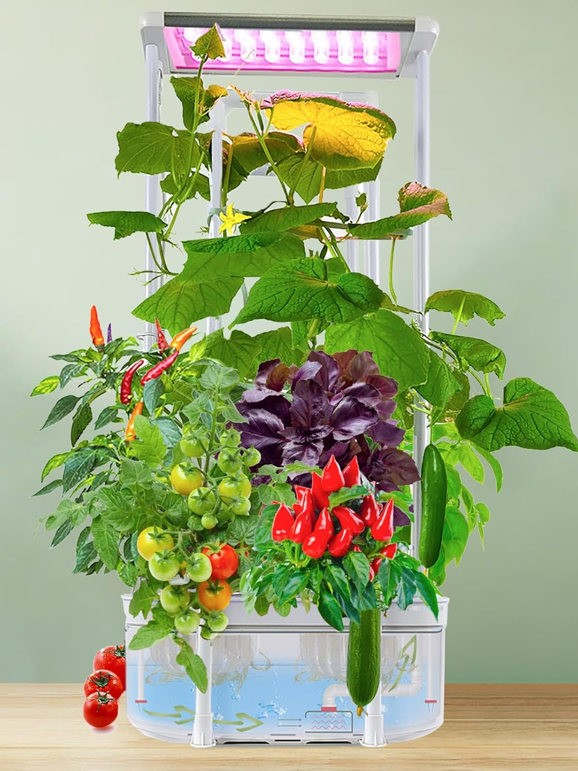 Hydroponics Growing System Kit with Trellis,Smart Hydroponic Gardening System with LED Grow Light, Indoor Hydroponic Garden Herb Grow Kit for Short Tomato,Pepper,Cucumber (6200LC)