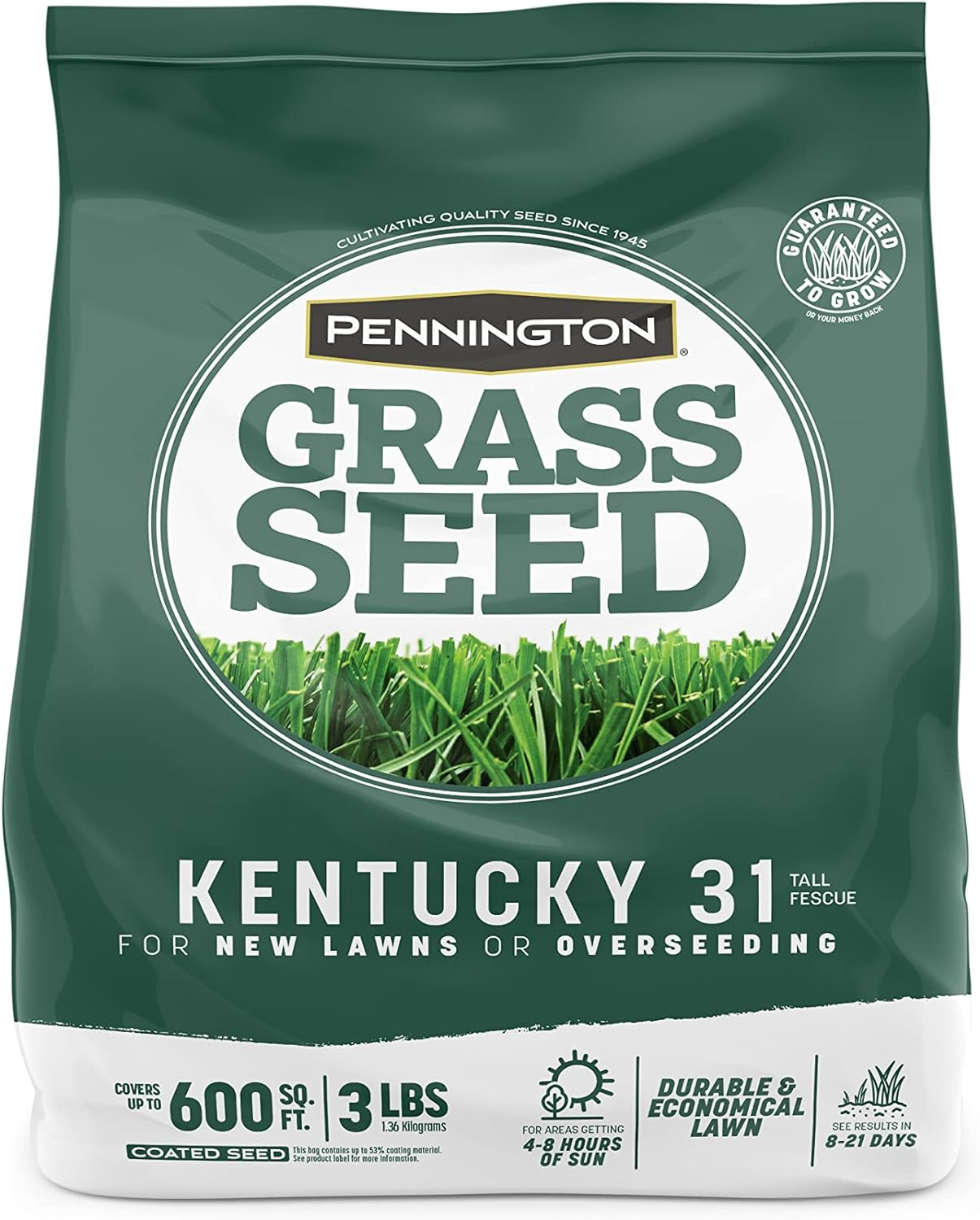 Semilla de césped festuca alta Kentucky 31 Penkoted, 3 lb