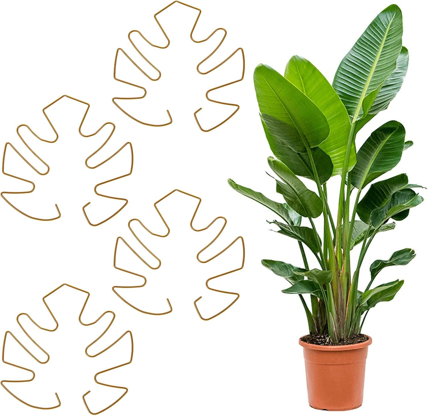 4Pcs Plant Stem Support, Plant Supports for Indoor Plants Durable Iron Pothos Pl