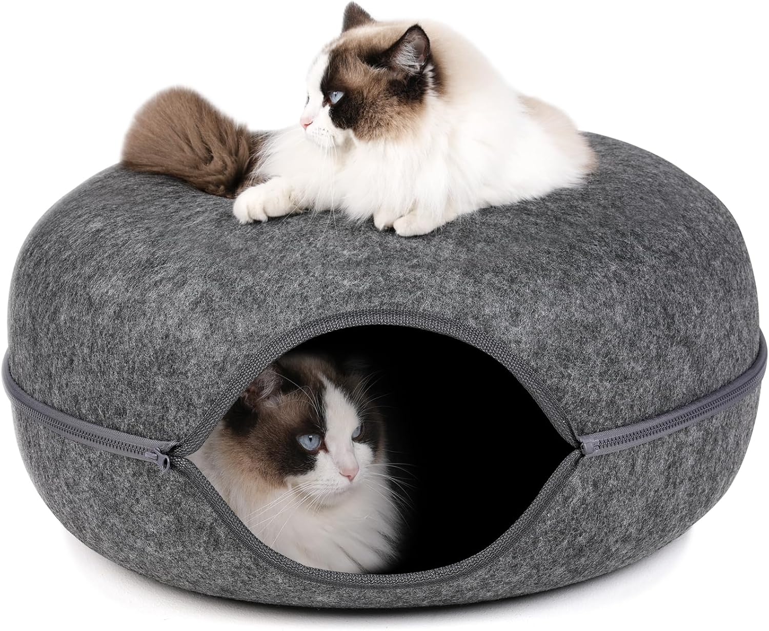 Bininl Cat Tunnel - Peekaboo Cave Bed for Indoor Pets, Donut-Shaped House Wit... - Picture 14 of 17