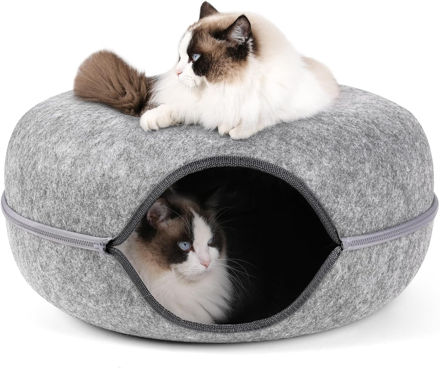 Bininl Cat Tunnel - Peekaboo Cave Bed for Indoor Pets, Donut-Shaped House Wit... - Picture 11 of 17