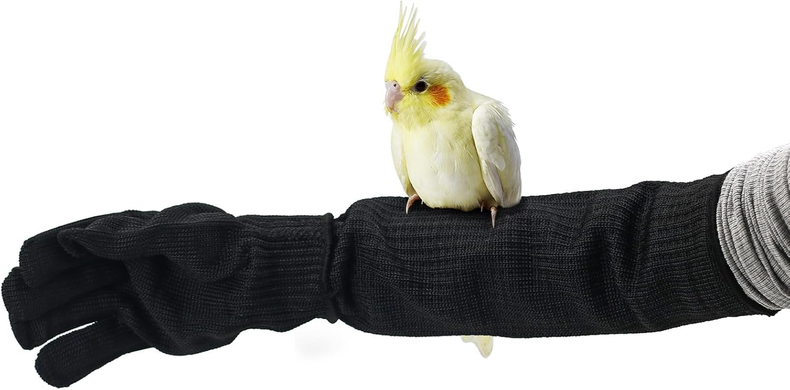Bird Training Anti-Bite Gloves, Level 5 Protection, Parrot Chewing Working Safety Protective Gloves for Cockatiels