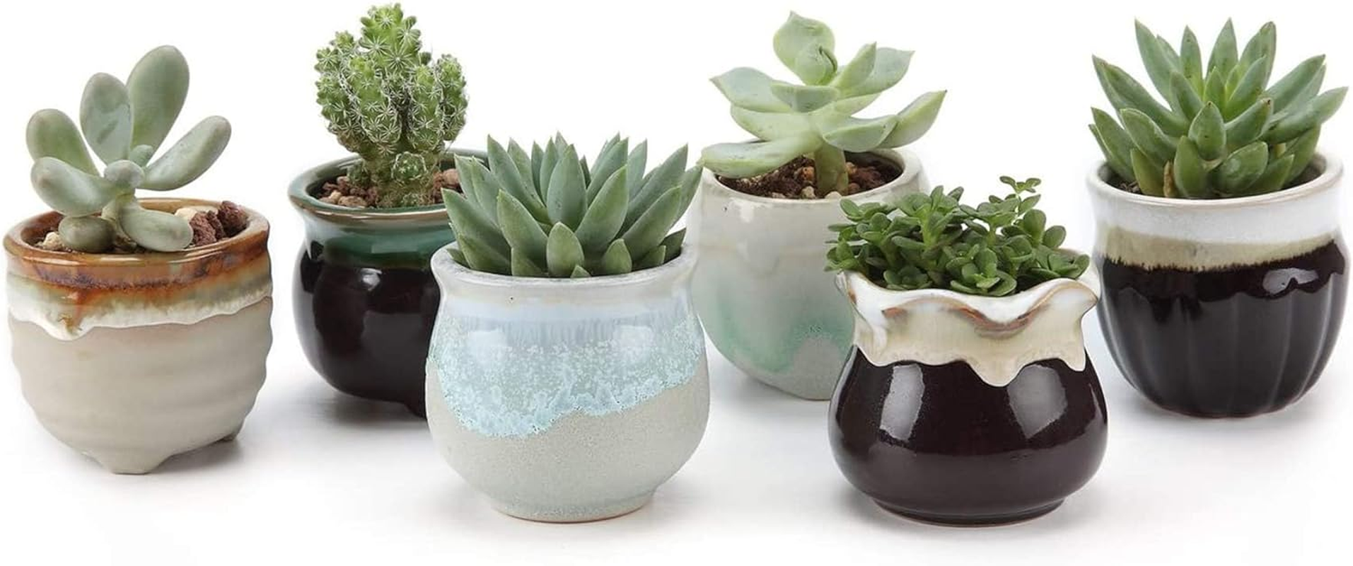 Mini Ceramic Succulent Pots With Drainage Set Of 6 Red Barrel Studio