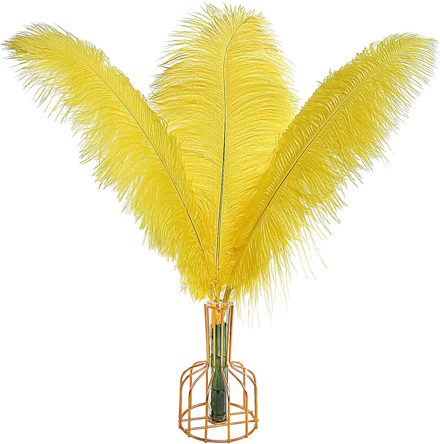 Yellow Ostrich Feathers 12pcs Large Natural Bulk 12-14Inch 30cm-35cm for Wedd...