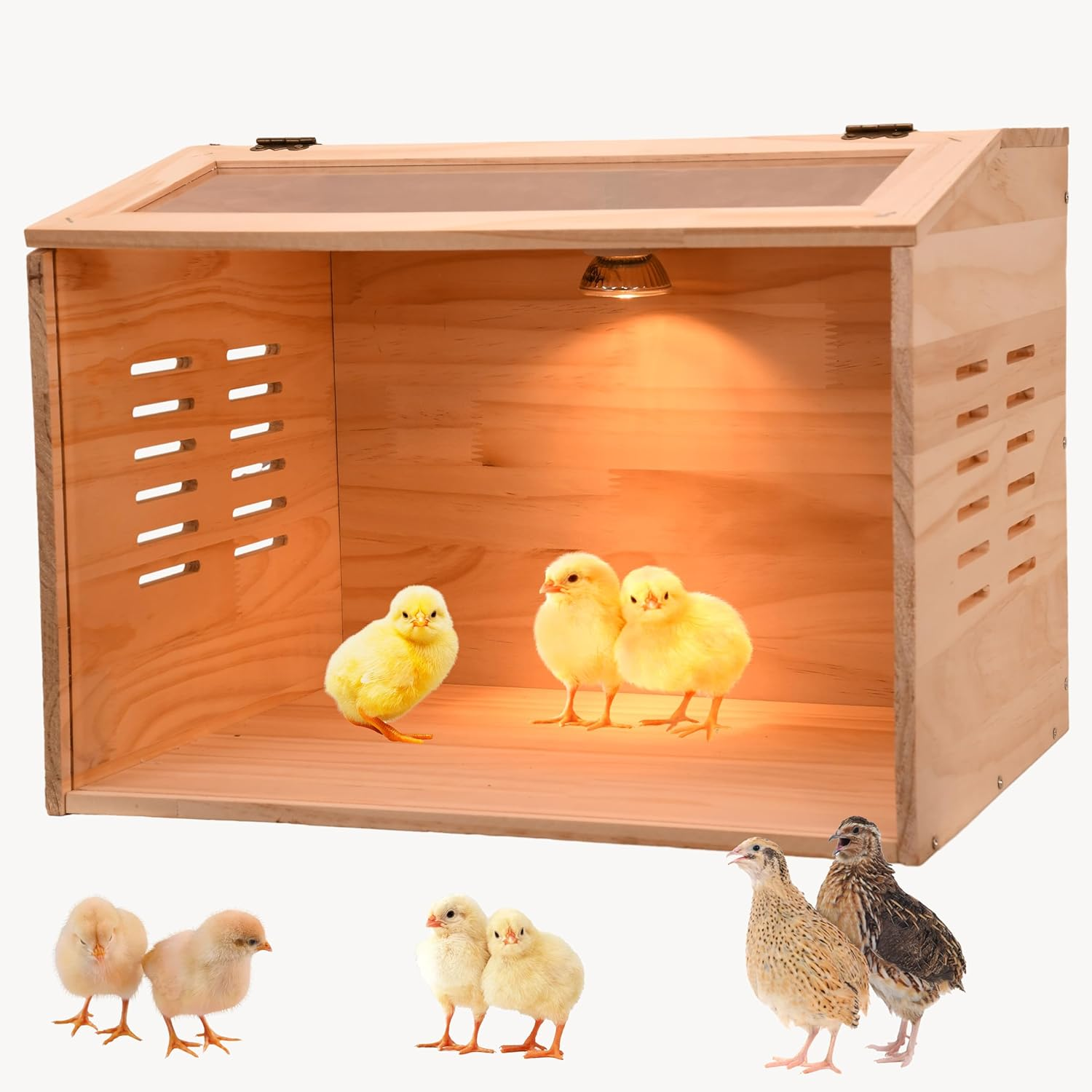 Brooder Box for Chicks, 3-8 Chicken Heater, Poultry Brooder with Heaters for Baby Chicks, Ducks, Quail Birds