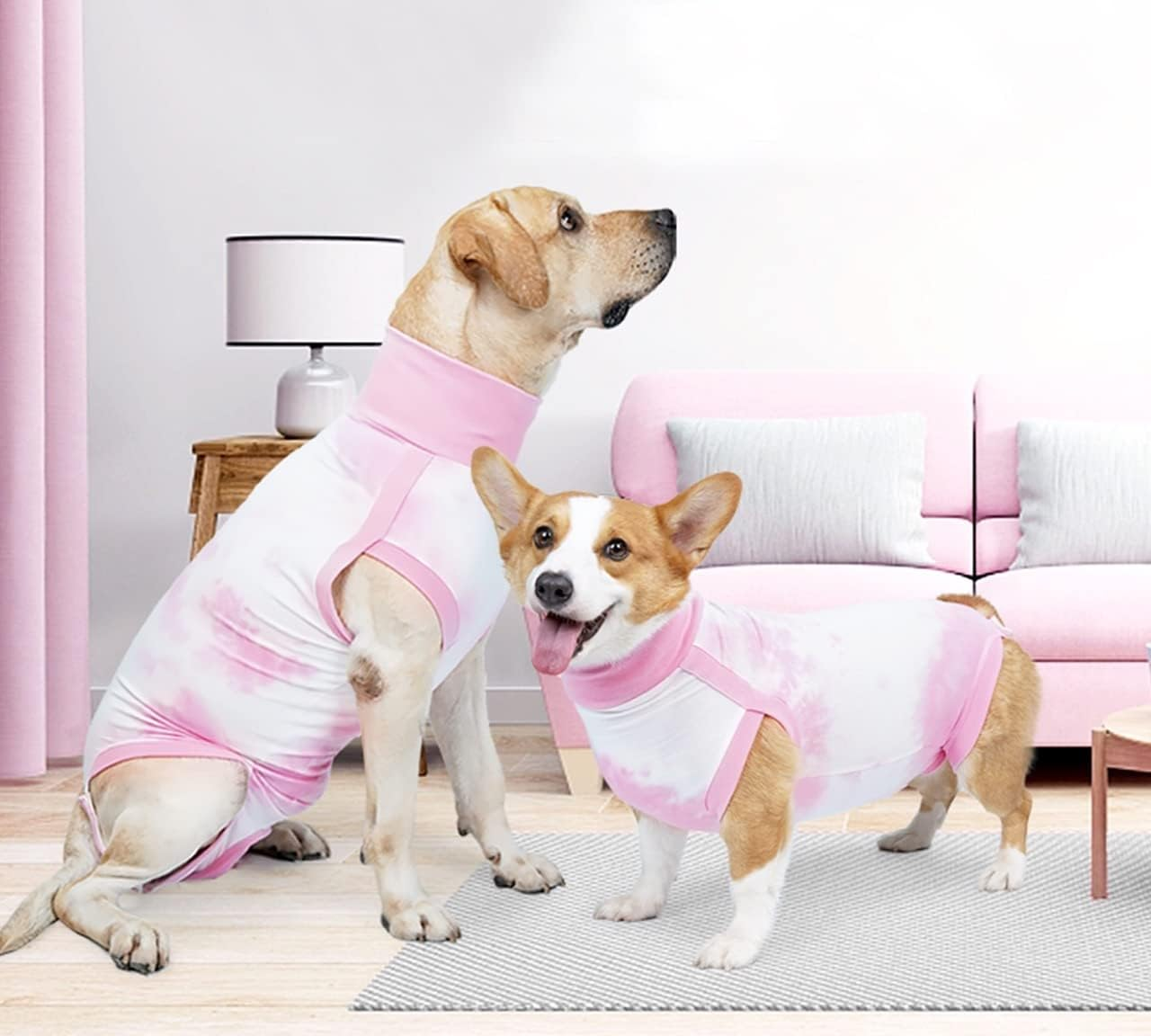 KIKNIN Recovery Suit for Dogs After Surgery, Post Spay, Neuter, Body Suit for... - Picture 10 of 22