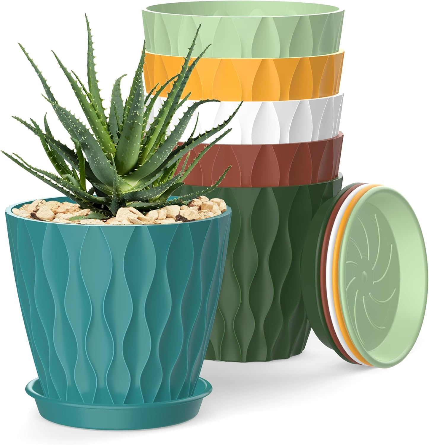 air plant fertilizer Air Plant Fertilizer main image 0