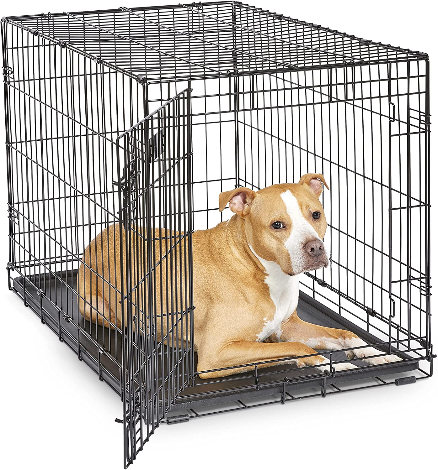 Midwest Homes for Pets Newly Enhanced Single & Double Door Icrate Dog Crate, Includes Leak-Proof Pan, Floor Protecting Feet, Divider Panel & New Patented Features