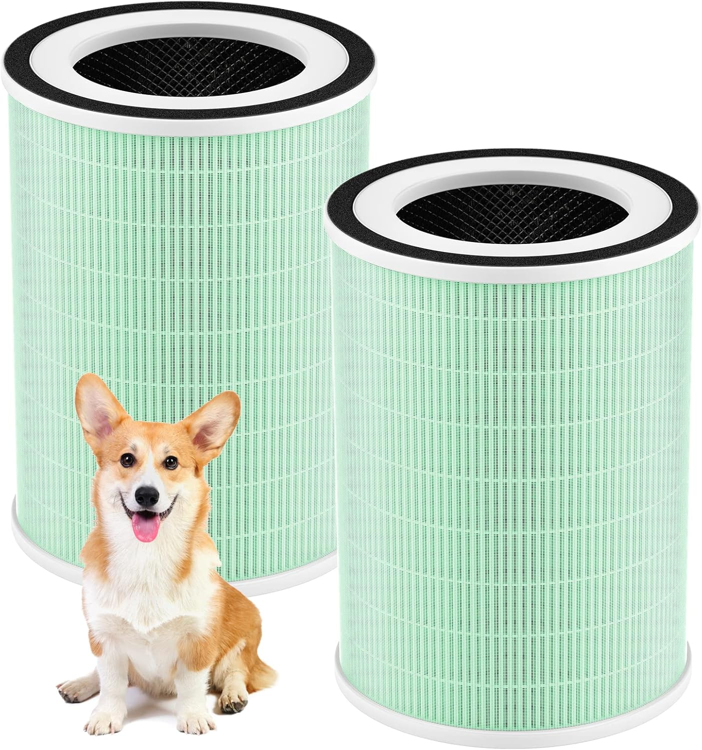 2 Pack True HEPA H13 KILO Pet Filter, Compatible with Afloia KILO, KILOPLUS, KILOPRO, MIRO,MIRO PRO and MORENTO Mr-Kilo, Kalo Air Pur Ifier, 360° 4-Stage Filtration, Green