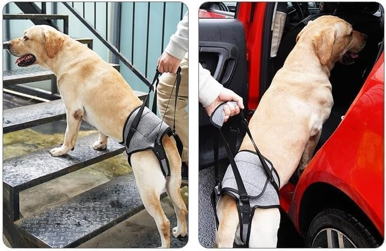 Dog Lift Harness, Dog Sling for Medium Large Dogs, Adjustable Dog Support Har... - Picture 6 of 14