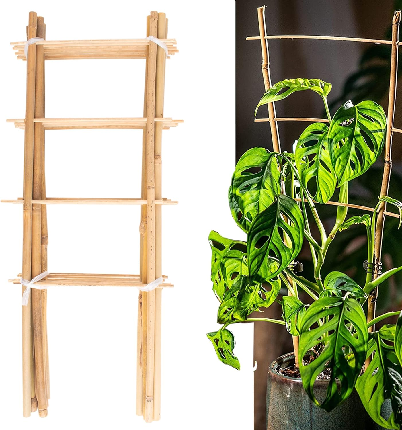 Avalution 10 Pack Natural Bamboo Trellis for Climbing Plants 16