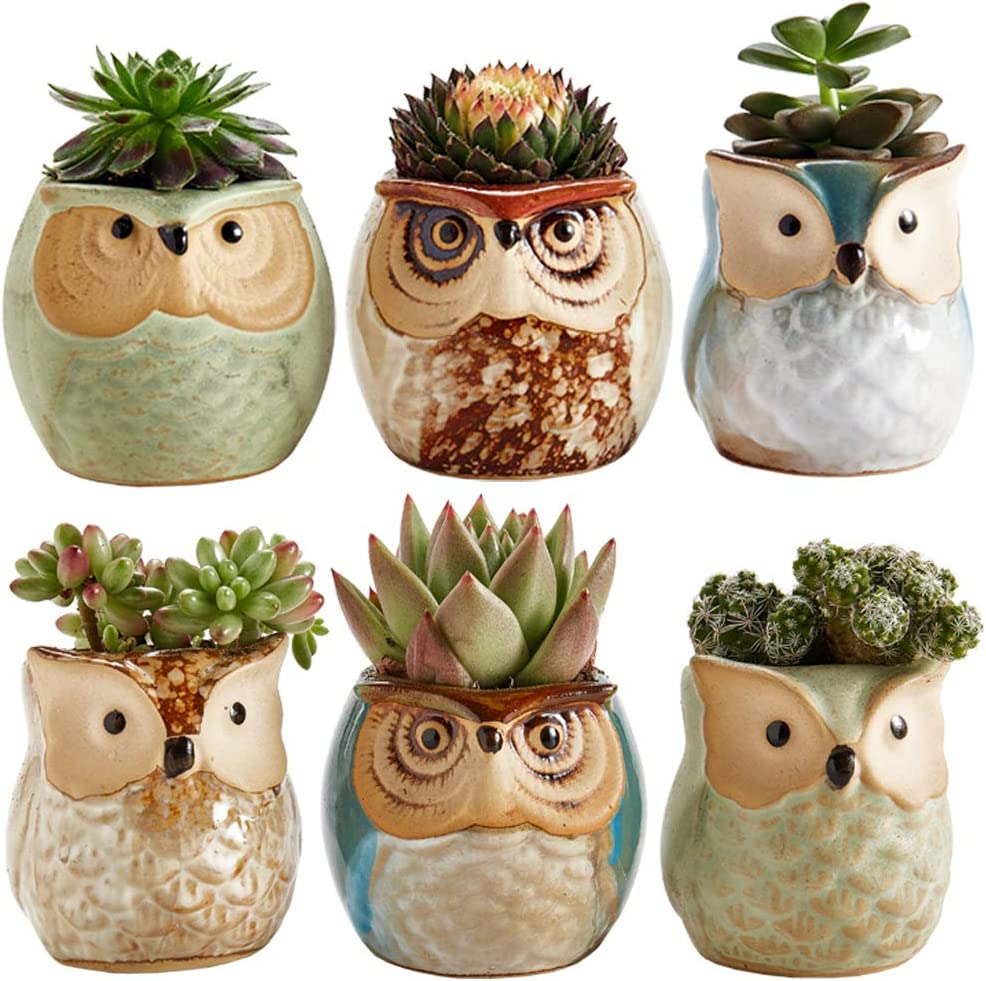 Owl Pot Ceramic Flowing Glaze Base Serial Set Succulent Plant Pot Cactus Plant Pot Flower Pot Container Planter with Drainage Hole Home Office Desk Garden Gift Idea 6Pcs 2.5 Inch