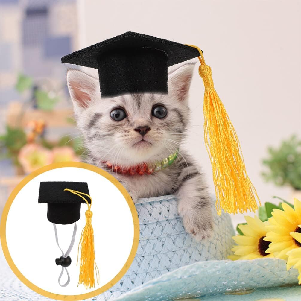 2Pcs Set Elastic Doctorial Hat cap and gown 2023 Party Supplies cat graduatio... - Picture 7 of 15