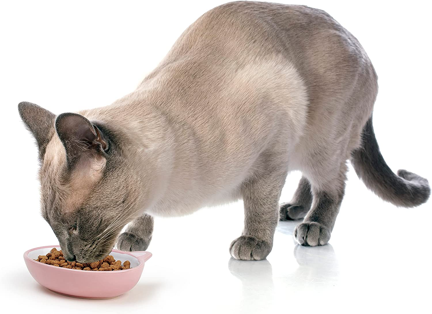 Petrageous Ceramic Oval Cat Bowl, Pink - Picture 7 of 14