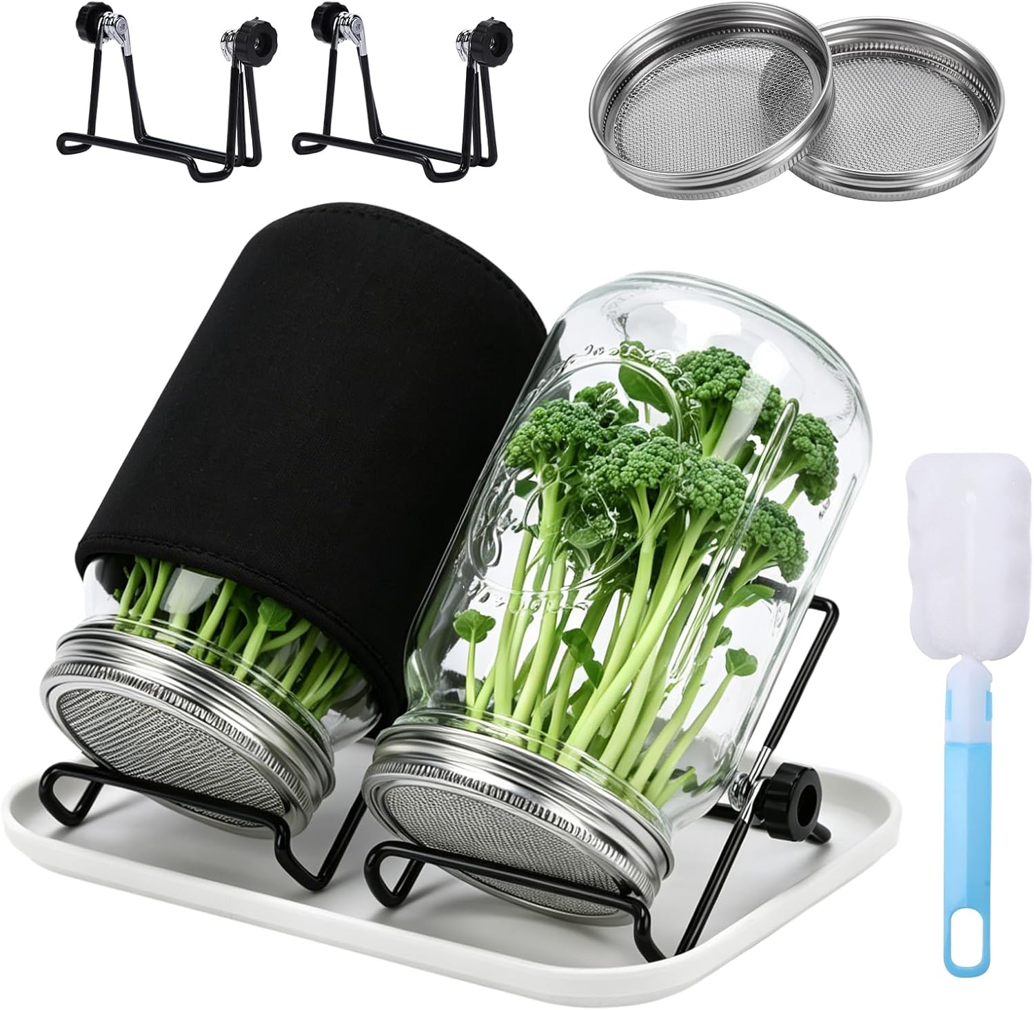 Broccoli Sprout Growing Kit 2 Large 1000ML Wide Mouth Mason Jars with Sprout Lids Stainless Steel Stand, Blackout Sleeves, Cleaning Brush, Drain Tray- Grow Broccoli, Alfalfa & Bean Microgreens
