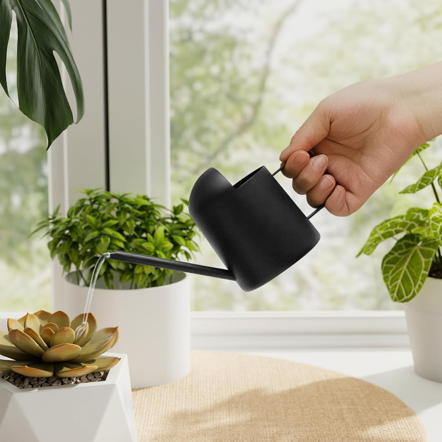 Bamworld Gießkanne Klein Zimmerpflanzen Mini Giesskanne Edelstahl Langer Auslauf Moderner Gieskanne Klein Zimmerpflanzeninnen (300ML Schwarz)