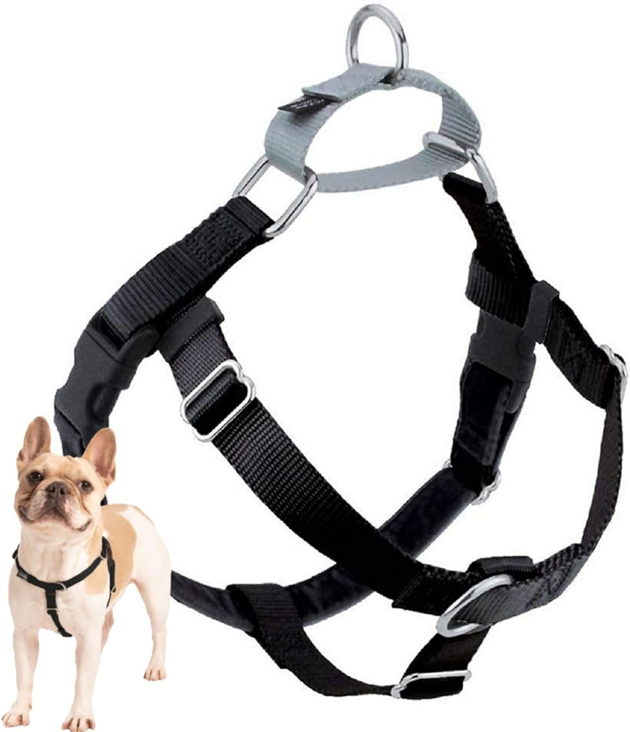 Freedom No Pull Dog Harness | Comfortable Control for Easy Walking | Adjustable Dog Harness | Small, Medium & Large Dogs | Made in USA | Solid Colors | 5/8