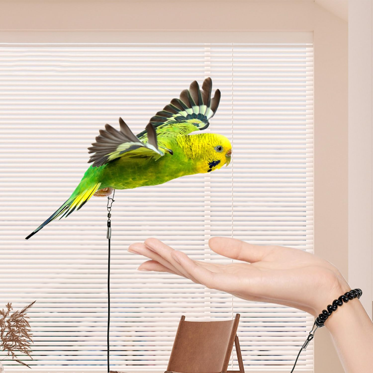 Roczential Bird Foot Chain Adjustable Bird Harness and Biting-Resistant Bird ... - Picture 5 of 15