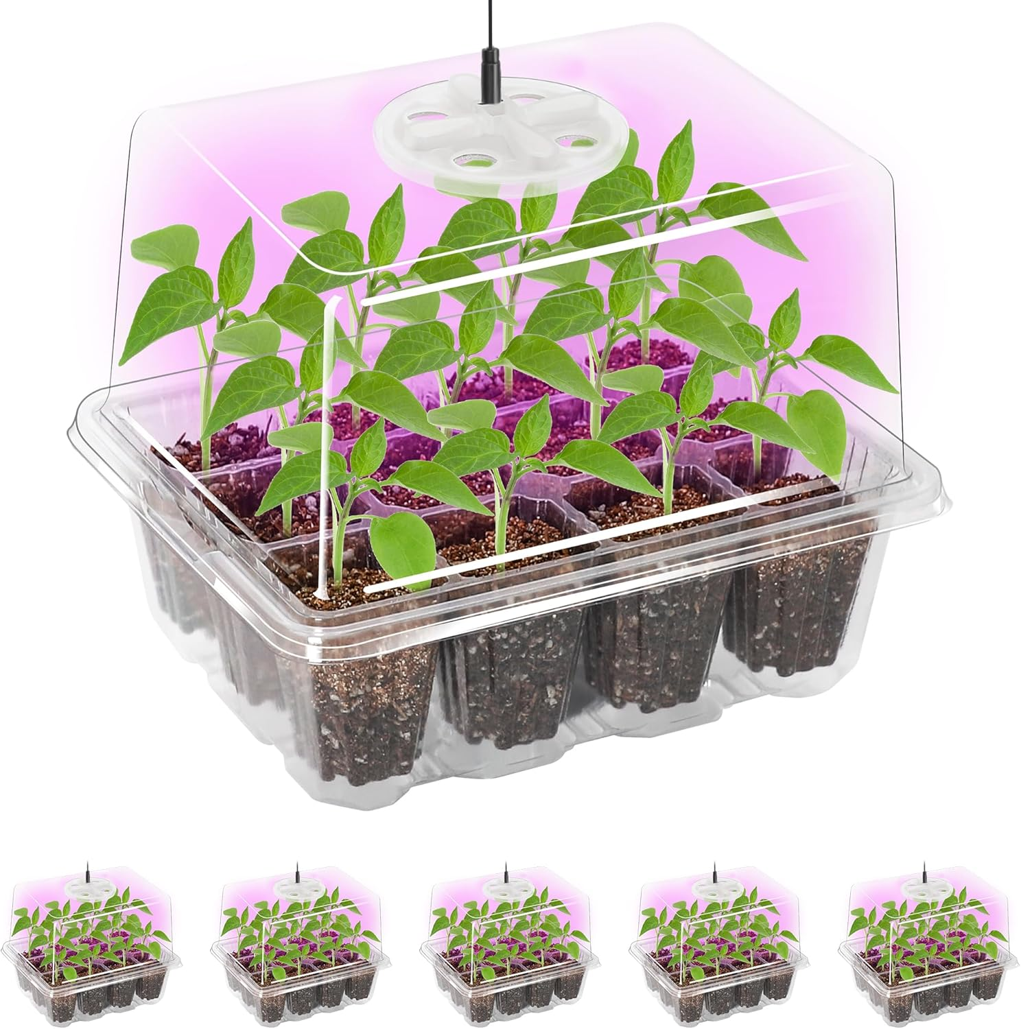 5-Pack Seed Starter Tray Kit w/ Grow Light & Adjustable Humidity Domes