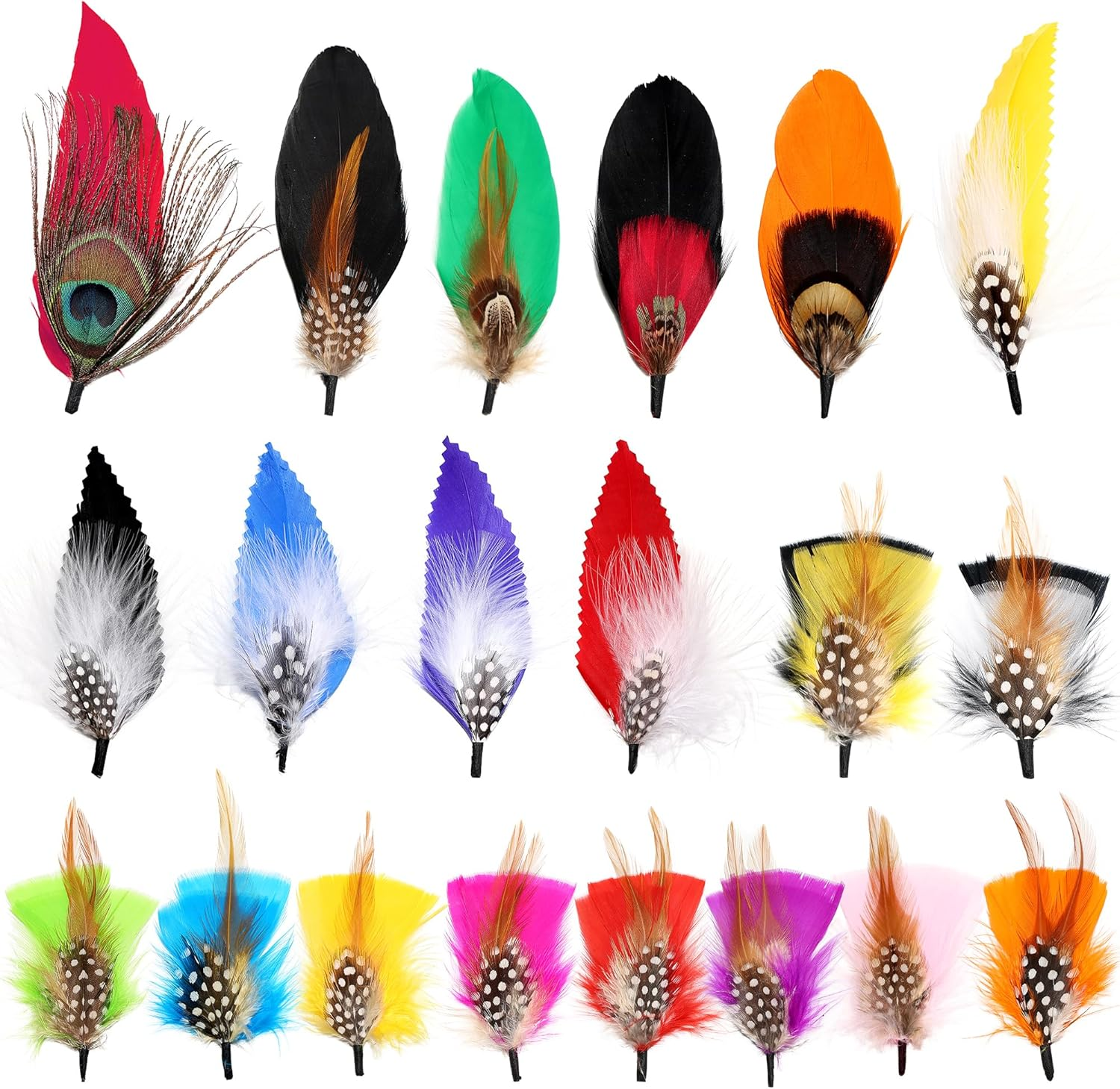 Hat Feathers 20 Styles Natural Assorted Feathers for Fedora Hats Accessories DIY Craft,Western Cowboy Hats,Christmas Party Hats,Oktoberfest Hats