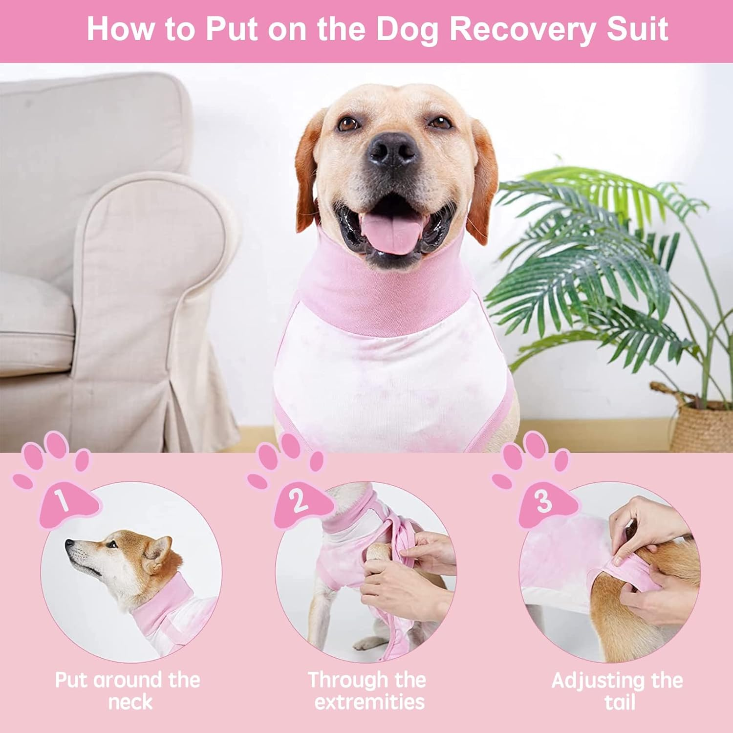 KIKNIN Recovery Suit for Dogs After Surgery, Post Spay, Neuter, Body Suit for... - Picture 7 of 22