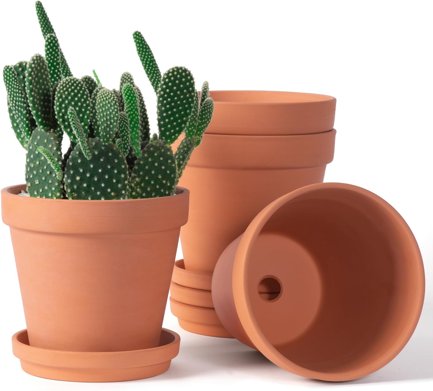 6 Inch Terracotta & Clay Pots for Plants with Saucer, Medium Terra Cotta Plant Pots with Drainage Hole, Flowerpot with Tray, Terracotta Pot for Indoor Outdoor Plant - Pack of 4 Planters