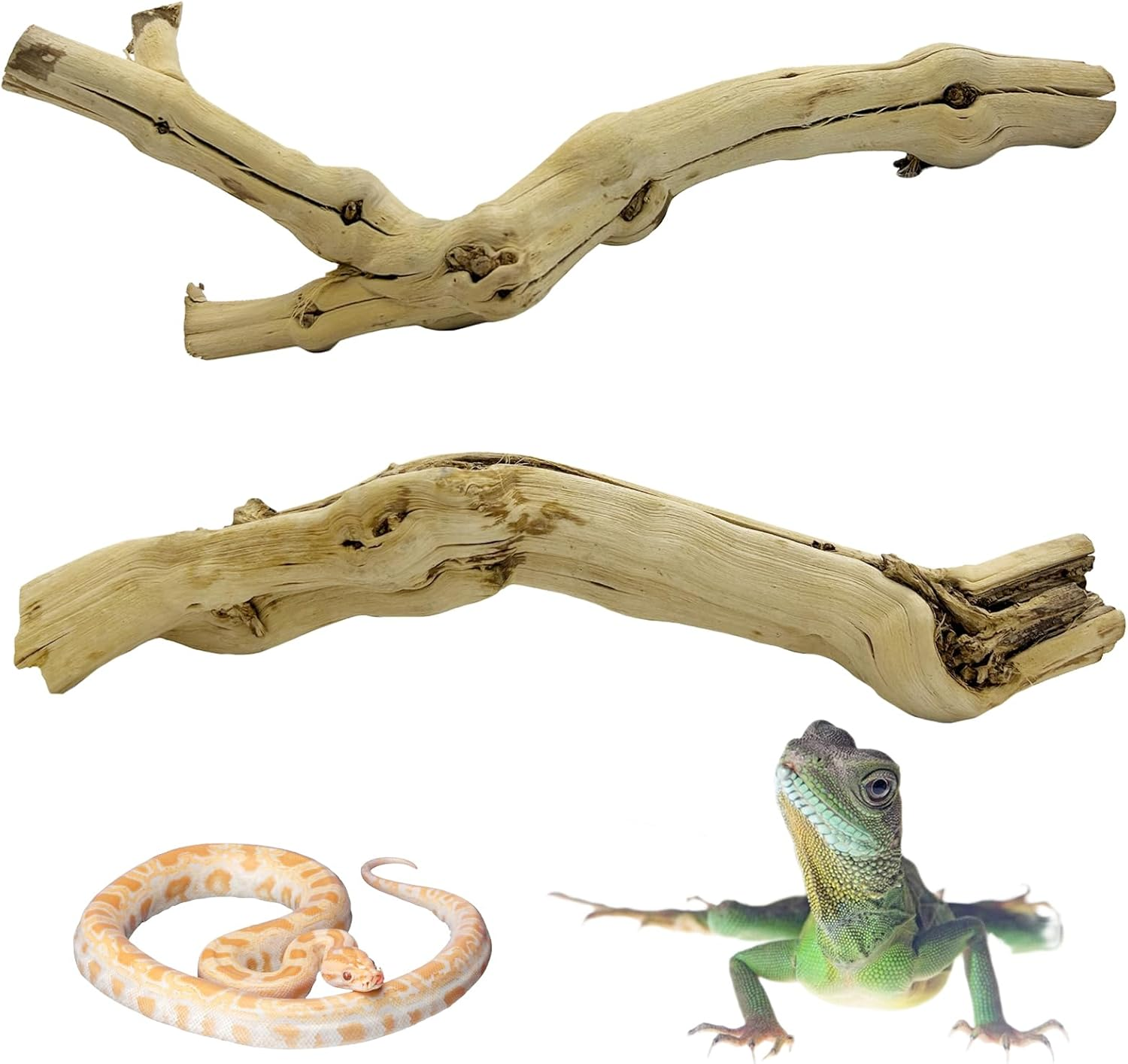 Reptile Branch Decor 2 Pack Snake Climbing Wood Branches Lizard Habitat Decorations Terrarium Natural Forest Tree Trunk Ornament for Bearded Dragon Geckos Chameleon Frog