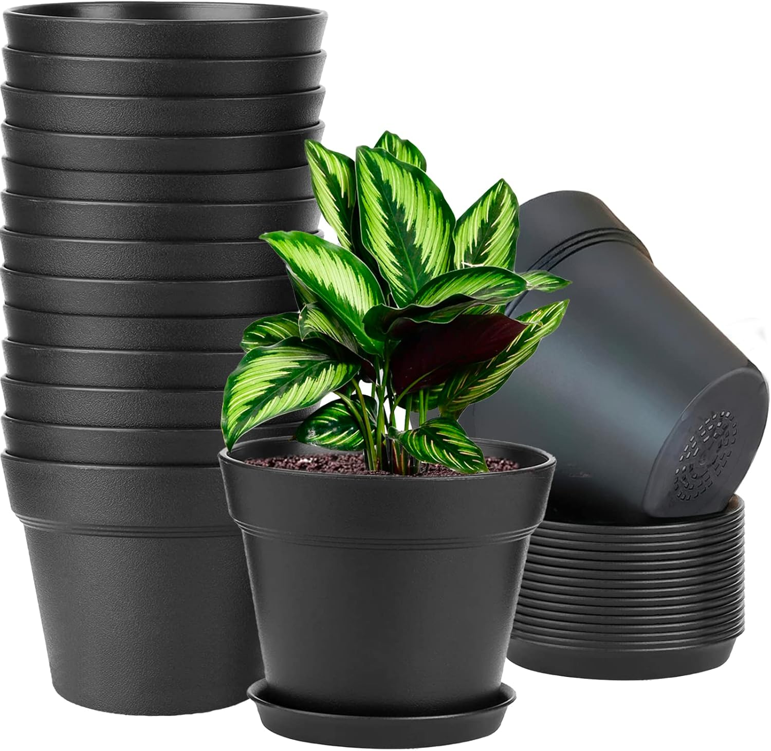 16 Pack 6 inch Plastic Planters for Indoor Flower Pots, Heavy Duty and  Stylish 6 | eBay